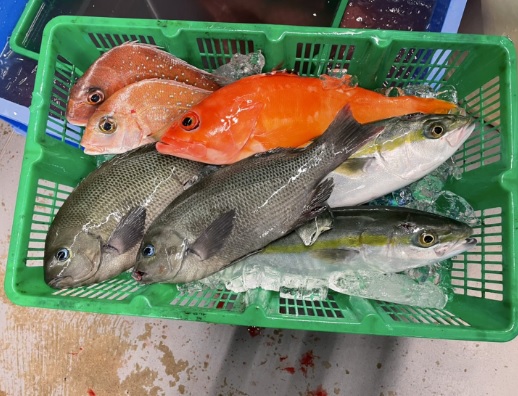 13-2魚介
